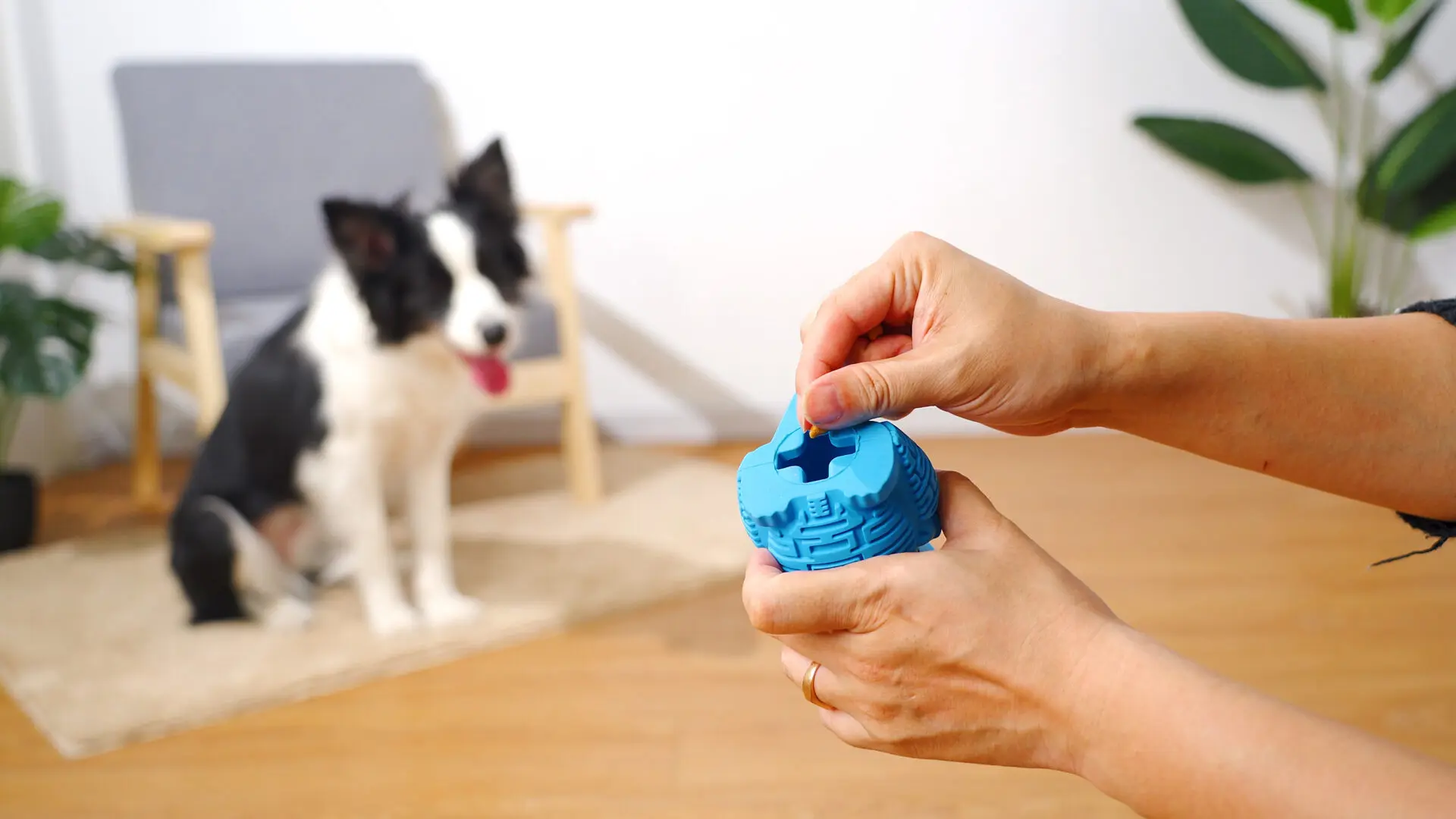 DinoTuff Rugged Dental Chew - The <strong>DinoTuff Rugged Dental Chew</strong> is an eco-friendly, durable natural rubber toy designed to promote your pet’s dental health while providing entertainment. Its <strong>teething texture</strong> cleans teeth during play, with a recess for applying toothpaste, and it also doubles as a <strong>puzzle treat dispenser</strong> to engage your pet’s mind. Made from non-toxic, bite-resistant materials, it’s ideal for heavy chewers and supports sustainability. The chew toy helps reduce plaque, promotes healthy gums, and provides hours of fun, all while being easy to clean and customizable. - dinotuff-dent-01 DinoTuff Rugged Dental Chew - Image 3