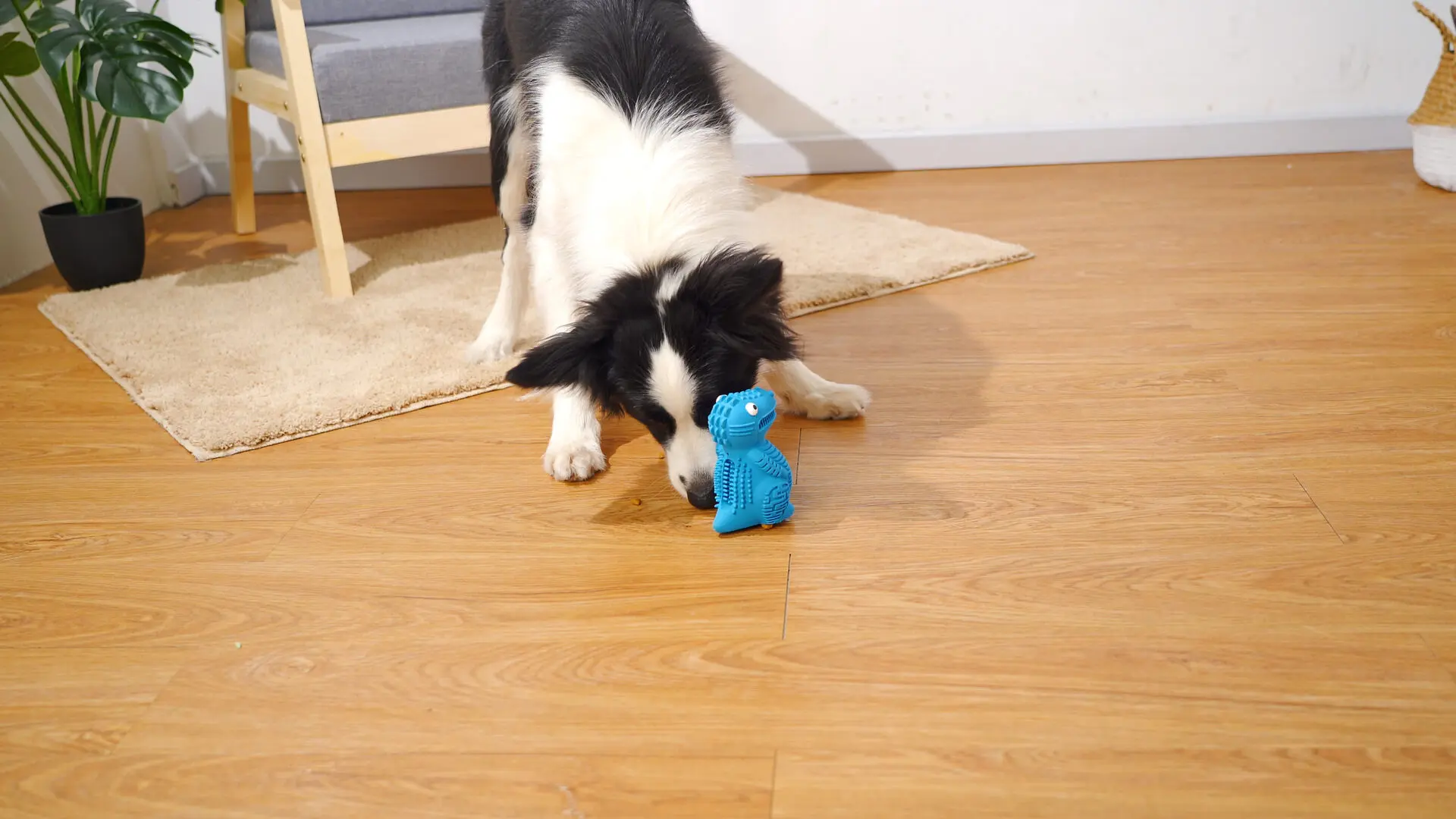 DinoTuff Rugged Dental Chew - The <strong>DinoTuff Rugged Dental Chew</strong> is an eco-friendly, durable natural rubber toy designed to promote your pet’s dental health while providing entertainment. Its <strong>teething texture</strong> cleans teeth during play, with a recess for applying toothpaste, and it also doubles as a <strong>puzzle treat dispenser</strong> to engage your pet’s mind. Made from non-toxic, bite-resistant materials, it’s ideal for heavy chewers and supports sustainability. The chew toy helps reduce plaque, promotes healthy gums, and provides hours of fun, all while being easy to clean and customizable. - dinotuff-dent-01 DinoTuff Rugged Dental Chew - Image 4