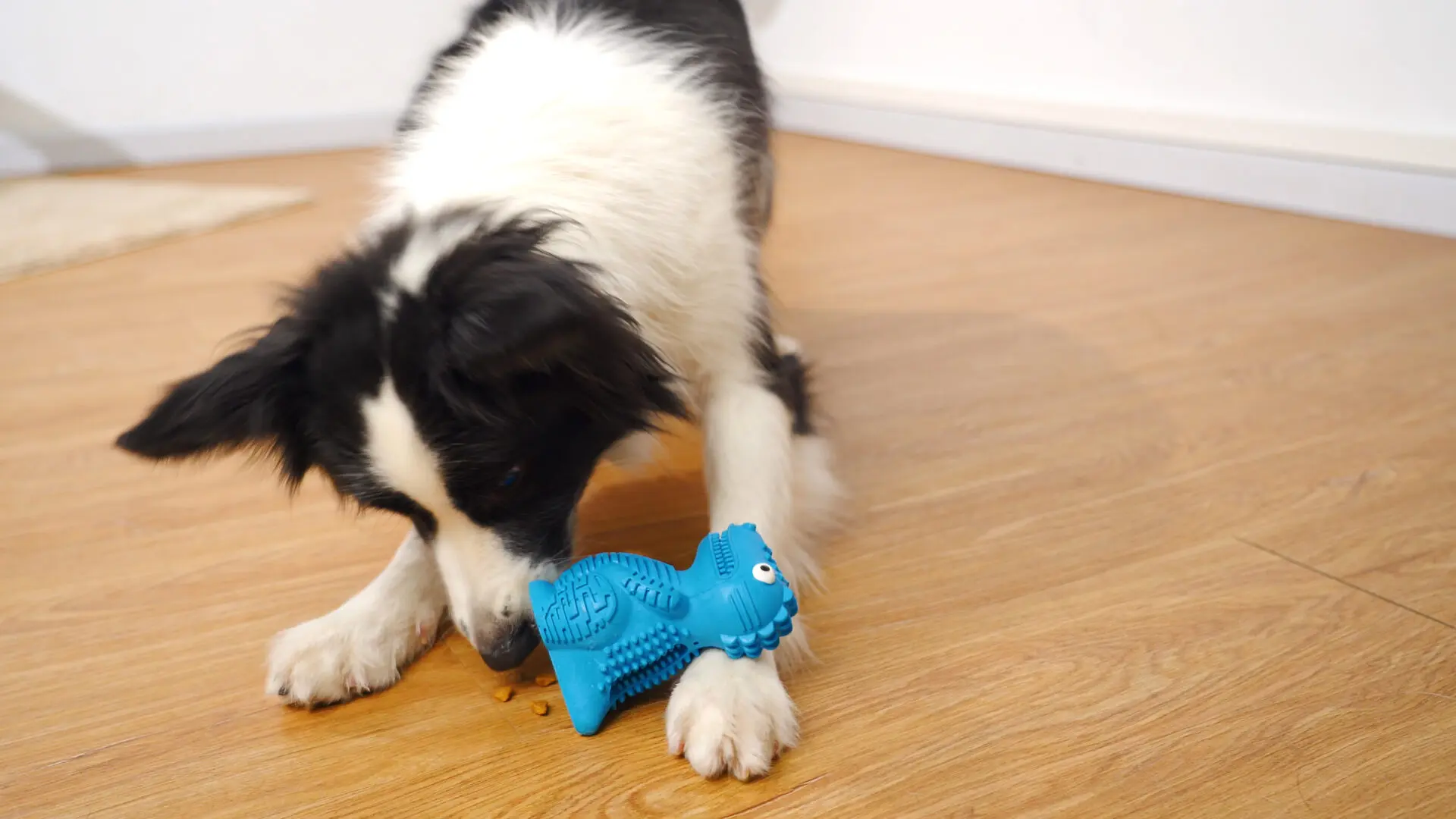 DinoTuff Rugged Dental Chew - The <strong>DinoTuff Rugged Dental Chew</strong> is an eco-friendly, durable natural rubber toy designed to promote your pet’s dental health while providing entertainment. Its <strong>teething texture</strong> cleans teeth during play, with a recess for applying toothpaste, and it also doubles as a <strong>puzzle treat dispenser</strong> to engage your pet’s mind. Made from non-toxic, bite-resistant materials, it’s ideal for heavy chewers and supports sustainability. The chew toy helps reduce plaque, promotes healthy gums, and provides hours of fun, all while being easy to clean and customizable. - dinotuff-dent-01 DinoTuff Rugged Dental Chew - Image 5