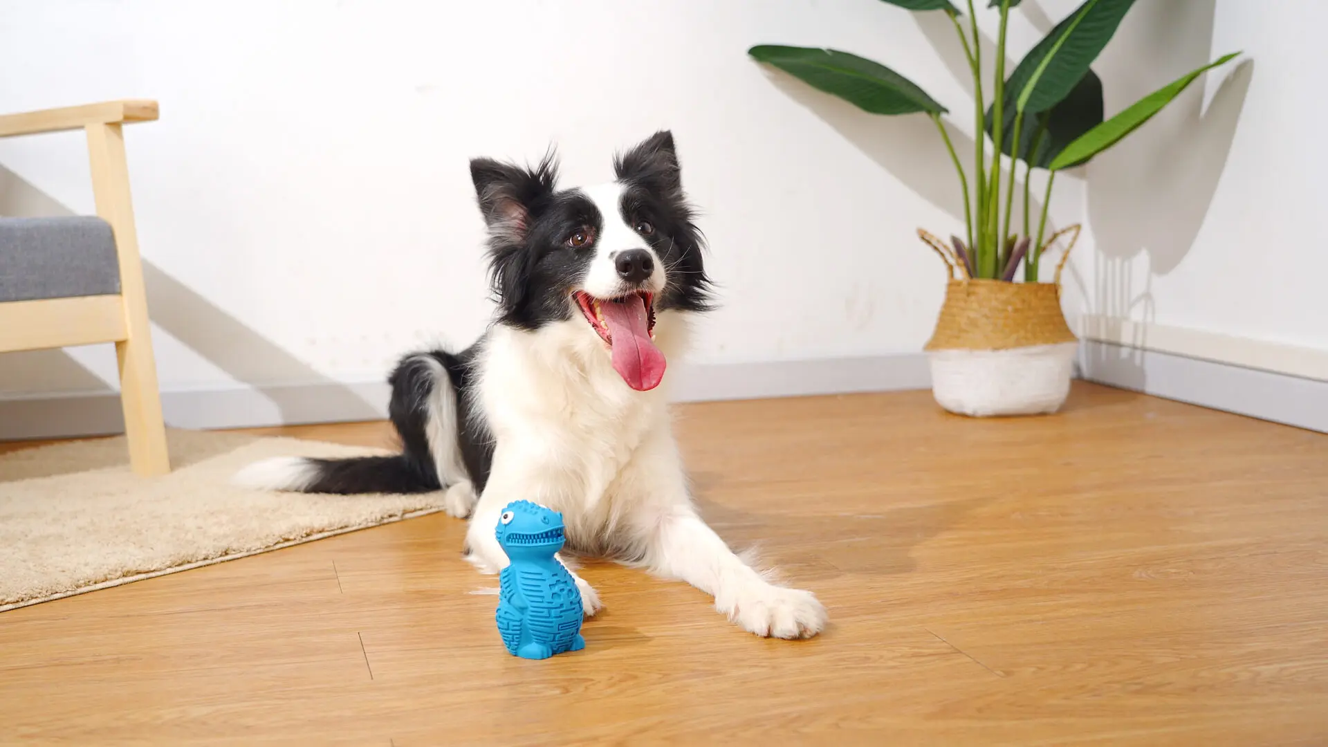 DinoTuff Rugged Dental Chew - The <strong>DinoTuff Rugged Dental Chew</strong> is an eco-friendly, durable natural rubber toy designed to promote your pet’s dental health while providing entertainment. Its <strong>teething texture</strong> cleans teeth during play, with a recess for applying toothpaste, and it also doubles as a <strong>puzzle treat dispenser</strong> to engage your pet’s mind. Made from non-toxic, bite-resistant materials, it’s ideal for heavy chewers and supports sustainability. The chew toy helps reduce plaque, promotes healthy gums, and provides hours of fun, all while being easy to clean and customizable. - dinotuff-dent-01 DinoTuff Rugged Dental Chew - Image 8