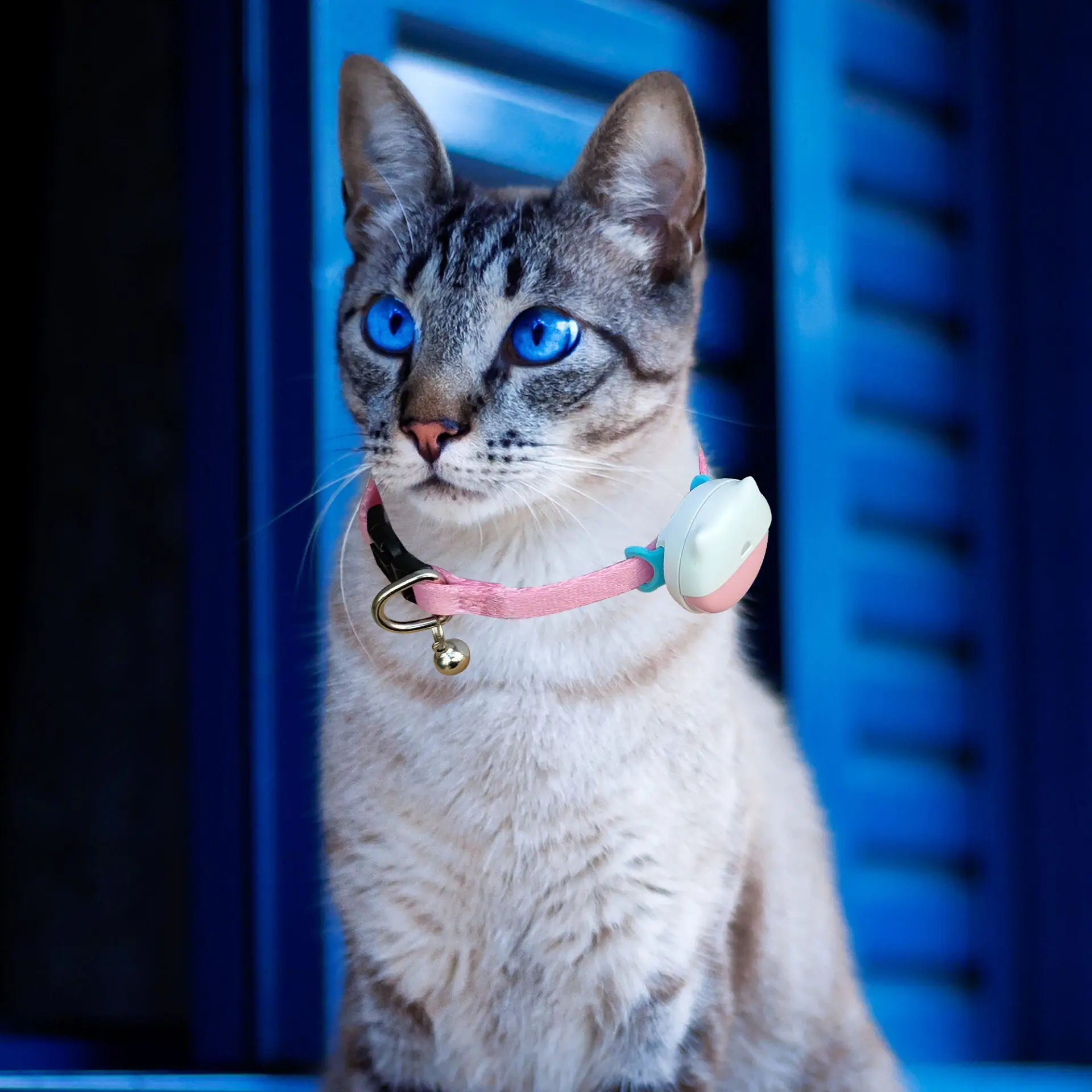 Agile Pro GPS Pet Tracker - The Agile Pro GPS Cat Tracker is an ultra-lightweight, waterproof device designed for real-time tracking and safety. Featuring a dual-mode system for home and away tracking, it maximizes battery life while ensuring your cat stays secure. Easy setup and advanced integration make it an essential pet care tool. - AGI-pro-GPS-0-1 Agile Pro GPS Pet Tracker - Image 17