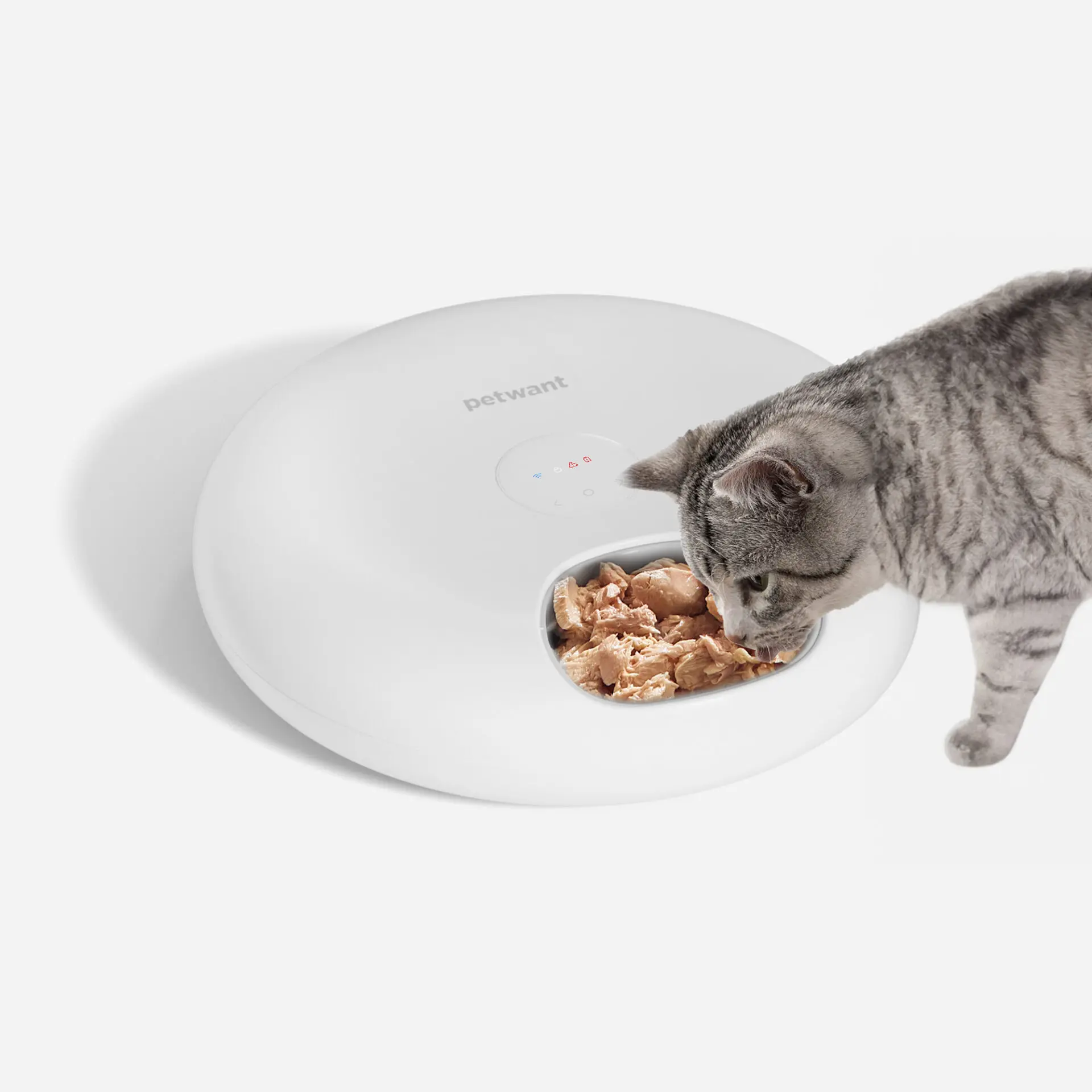 Cool Bowl Smart Feeder - The <strong>Cool Bowl Smart Feeder</strong> offers a convenient, app-controlled solution for precise and automated pet feeding. With WiFi-enabled remote access, you can easily set feeding times and portion sizes from anywhere, ensuring your pet is fed on schedule. Its <strong>precision feeding</strong> helps with portion control, while features like <strong>six-meal capacity</strong>, a <strong>24-hour ice box</strong>, and a <strong>30-day battery life</strong> make it both reliable and practical. Ideal for busy pet owners, the feeder promotes consistent routines and supports healthy diets. - cool-feeder-01 Cool Bowl Smart Feeder - Image 10