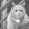 Agile Pro GPS Pet Tracker - Image 22