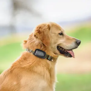 Infinity Pro GPS Pet Tracker