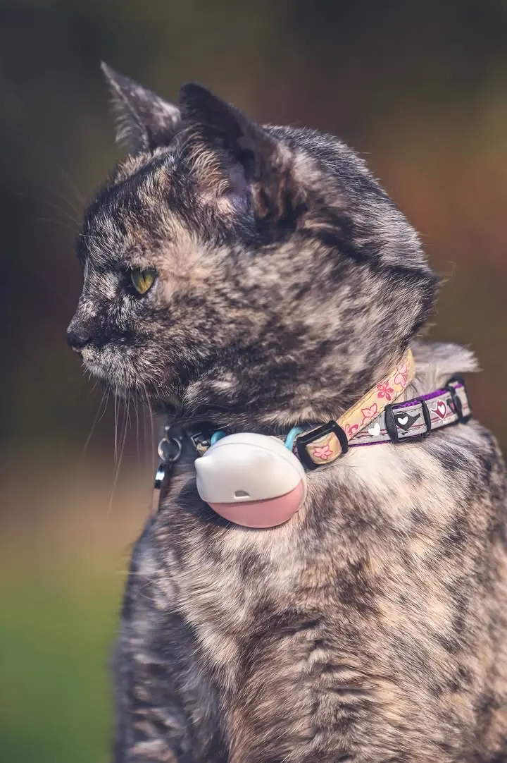 Agile Pro GPS Pet Tracker - The Agile Pro GPS Cat Tracker is an ultra-lightweight, waterproof device designed for real-time tracking and safety. Featuring a dual-mode system for home and away tracking, it maximizes battery life while ensuring your cat stays secure. Easy setup and advanced integration make it an essential pet care tool. - AGI-pro-GPS-0-1 Agile Pro GPS Pet Tracker - Image 21