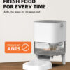 Elegant Connected Auto Feeder - Image 8