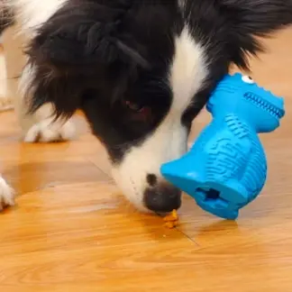 DinoTuff Rugged Dental Chew