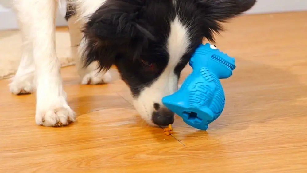 DinoTuff Rugged Dental Chew - The <strong>DinoTuff Rugged Dental Chew</strong> is an eco-friendly, durable natural rubber toy designed to promote your pet’s dental health while providing entertainment. Its <strong>teething texture</strong> cleans teeth during play, with a recess for applying toothpaste, and it also doubles as a <strong>puzzle treat dispenser</strong> to engage your pet’s mind. Made from non-toxic, bite-resistant materials, it’s ideal for heavy chewers and supports sustainability. The chew toy helps reduce plaque, promotes healthy gums, and provides hours of fun, all while being easy to clean and customizable. - dinotuff-dent-01 DinoTuff Rugged Dental Chew