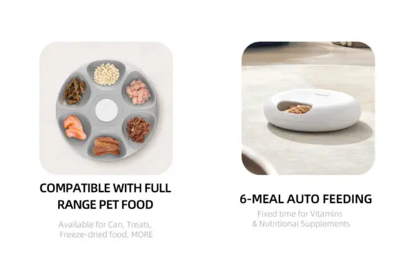 Cool Bowl Smart Feeder - Image 5