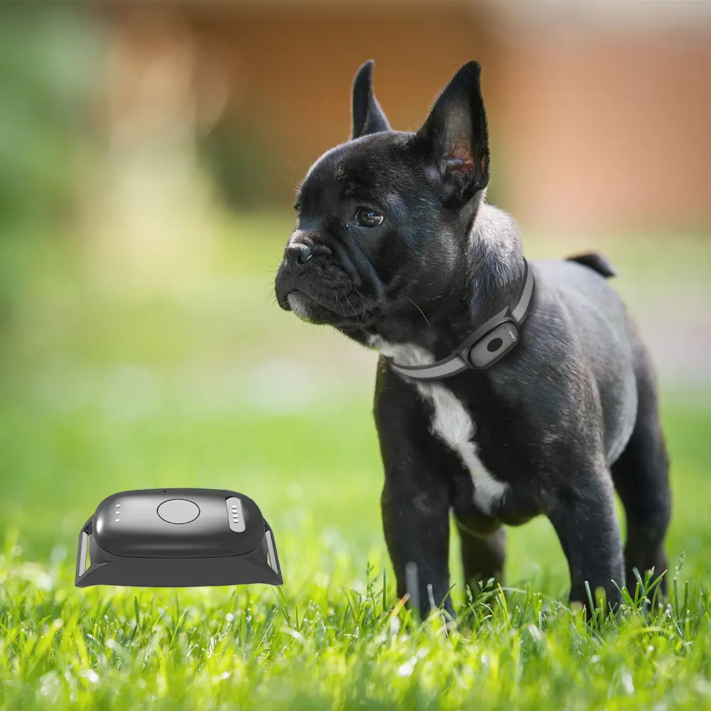 Infinity Pro GPS Pet Tracker - The <strong>Infinity Pro GPS Pet Tracker</strong> offers real-time pet monitoring using <strong>NB-IoT technology</strong> for extended battery life. With a dual-mode system utilising Bluetooth and WiFi for home and away tracking, it's waterproof, lightweight, and easy to set up, ensuring your pet's safety with efficient power usage and customizable features. - INF-pro-GPS-0-1 Infinity Pro GPS Pet Tracker - Image 18