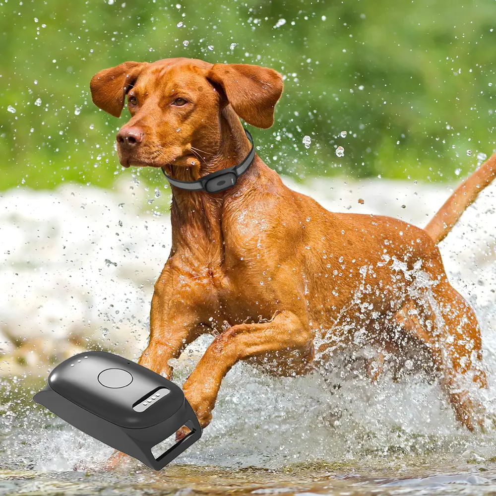 Infinity Pro GPS Pet Tracker - The <strong>Infinity Pro GPS Pet Tracker</strong> offers real-time pet monitoring using <strong>NB-IoT technology</strong> for extended battery life. With a dual-mode system utilising Bluetooth and WiFi for home and away tracking, it's waterproof, lightweight, and easy to set up, ensuring your pet's safety with efficient power usage and customizable features. - INF-pro-GPS-0-1 Infinity Pro GPS Pet Tracker - Image 19