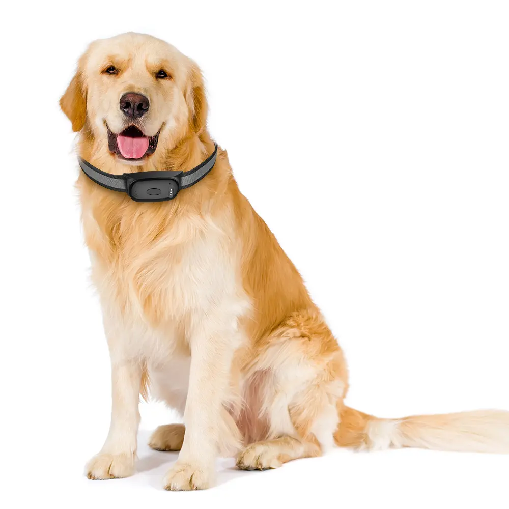 Infinity Pro GPS Pet Tracker - The <strong>Infinity Pro GPS Pet Tracker</strong> offers real-time pet monitoring using <strong>NB-IoT technology</strong> for extended battery life. With a dual-mode system utilising Bluetooth and WiFi for home and away tracking, it's waterproof, lightweight, and easy to set up, ensuring your pet's safety with efficient power usage and customizable features. - INF-pro-GPS-0-1 Infinity Pro GPS Pet Tracker - Image 20