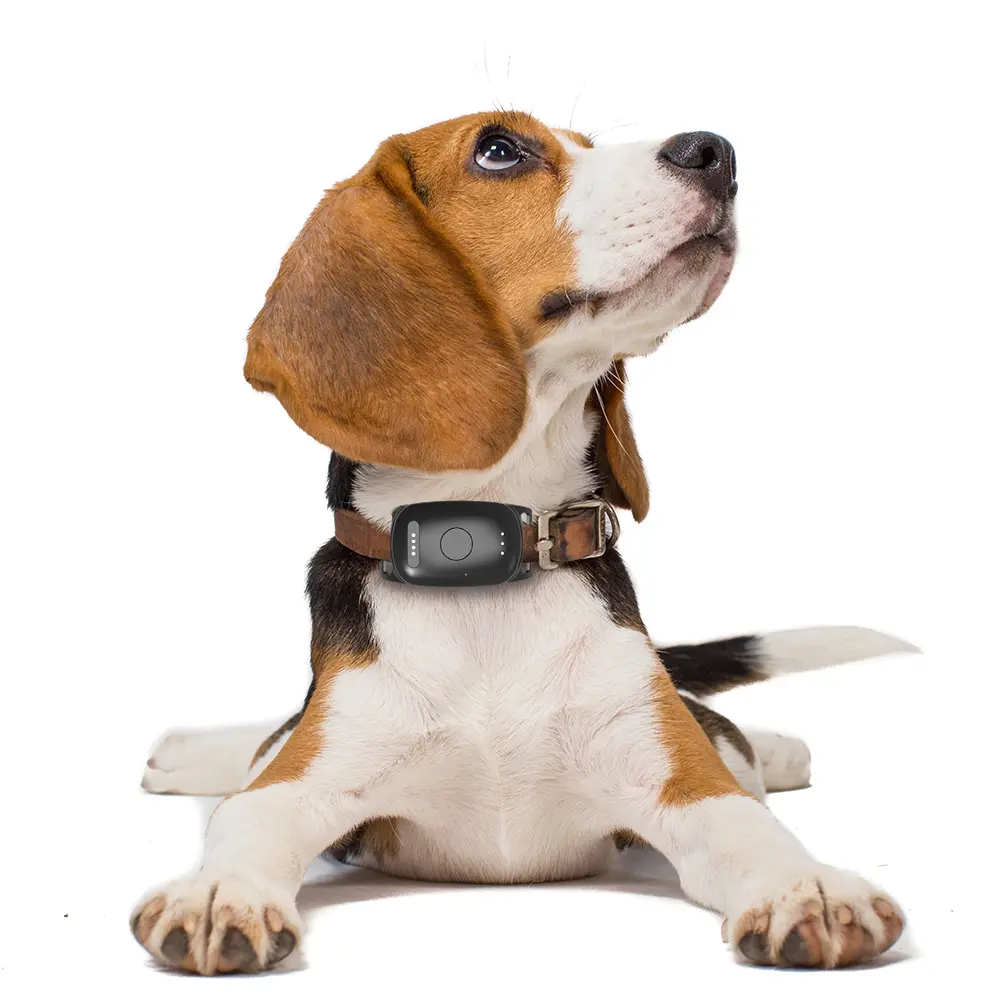 Infinity Pro GPS Pet Tracker - The <strong>Infinity Pro GPS Pet Tracker</strong> offers real-time pet monitoring using <strong>NB-IoT technology</strong> for extended battery life. With a dual-mode system utilising Bluetooth and WiFi for home and away tracking, it's waterproof, lightweight, and easy to set up, ensuring your pet's safety with efficient power usage and customizable features. - INF-pro-GPS-0-1 Infinity Pro GPS Pet Tracker - Image 13
