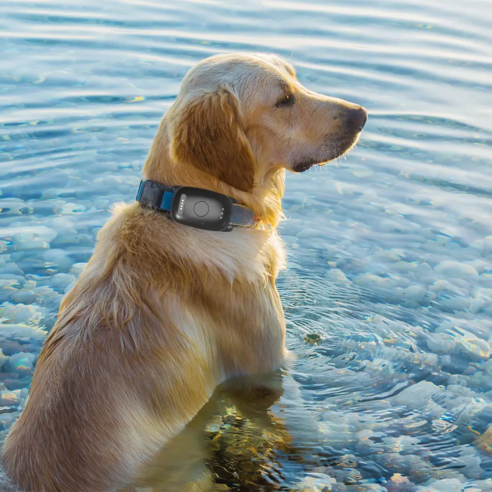 Infinity Pro GPS Pet Tracker - The <strong>Infinity Pro GPS Pet Tracker</strong> offers real-time pet monitoring using <strong>NB-IoT technology</strong> for extended battery life. With a dual-mode system utilising Bluetooth and WiFi for home and away tracking, it's waterproof, lightweight, and easy to set up, ensuring your pet's safety with efficient power usage and customizable features. - INF-pro-GPS-0-1 Infinity Pro GPS Pet Tracker - Image 14