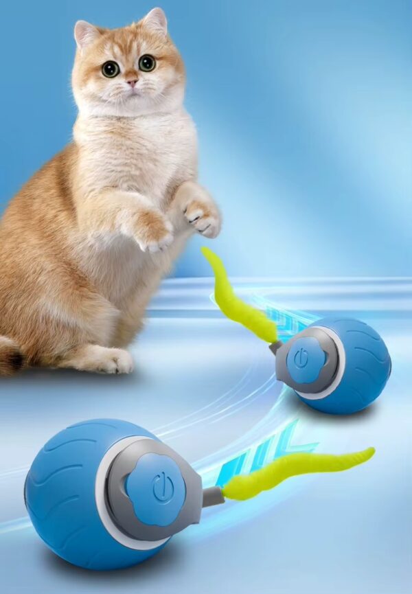Zippy Pounce & Bounce Tail Chaser – Pure Cat Chaos - Image 9