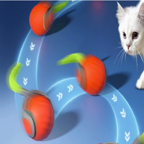 Zippy Pounce & Bounce Tail Chaser – Pure Cat Chaos - Image 10