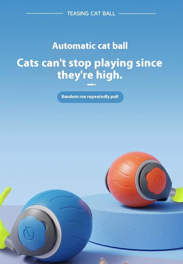Zippy Pounce & Bounce Tail Chaser – Pure Cat Chaos - Image 12